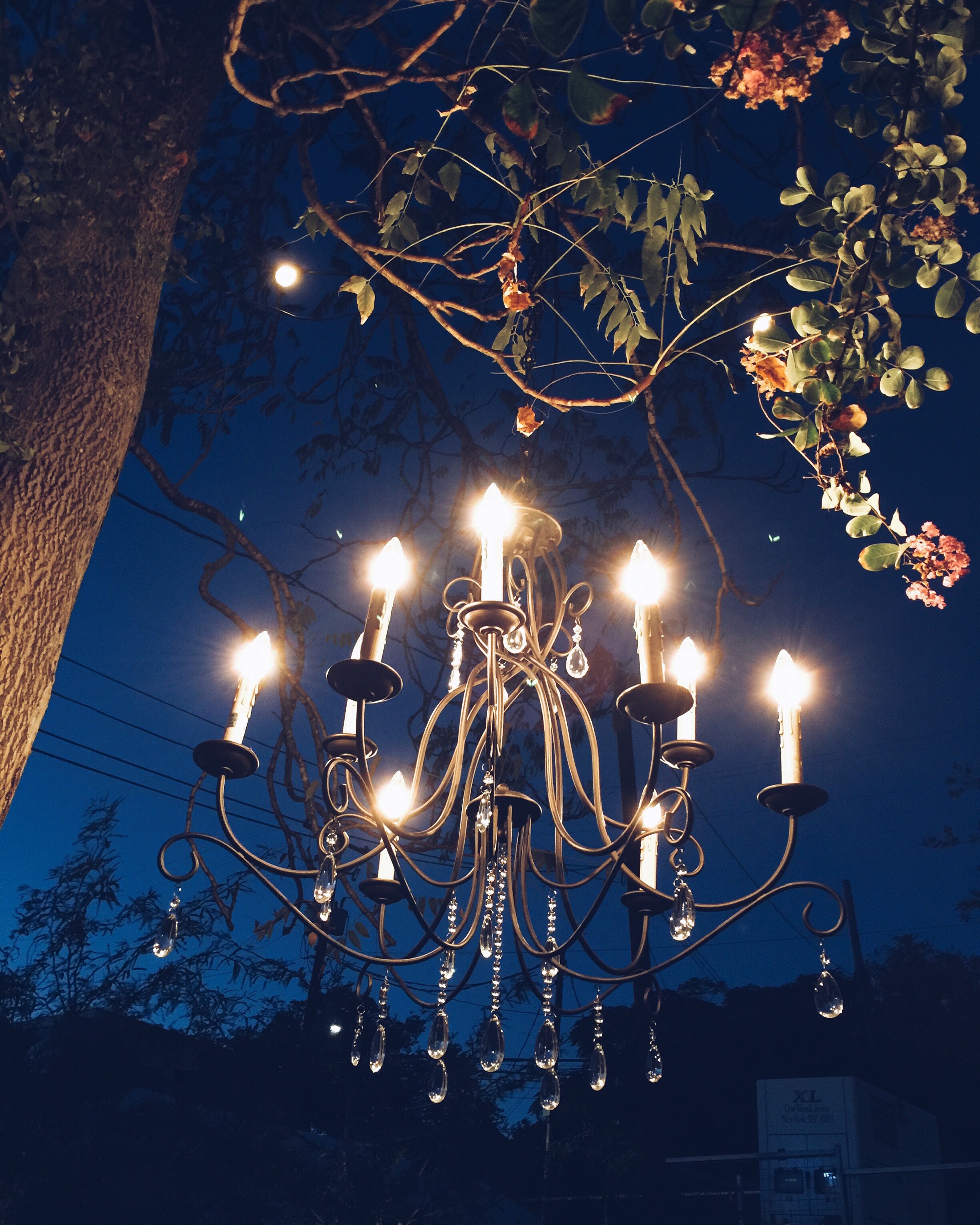 austin, instagram, jamesrcs, james smith, james r.c. smith