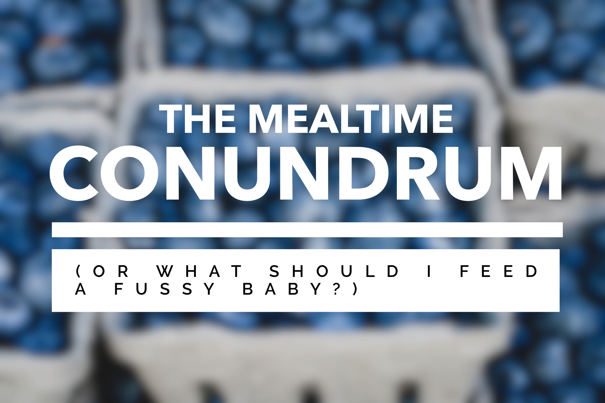 The Mealtime Conundrum (or what should I feed a fussy baby?)